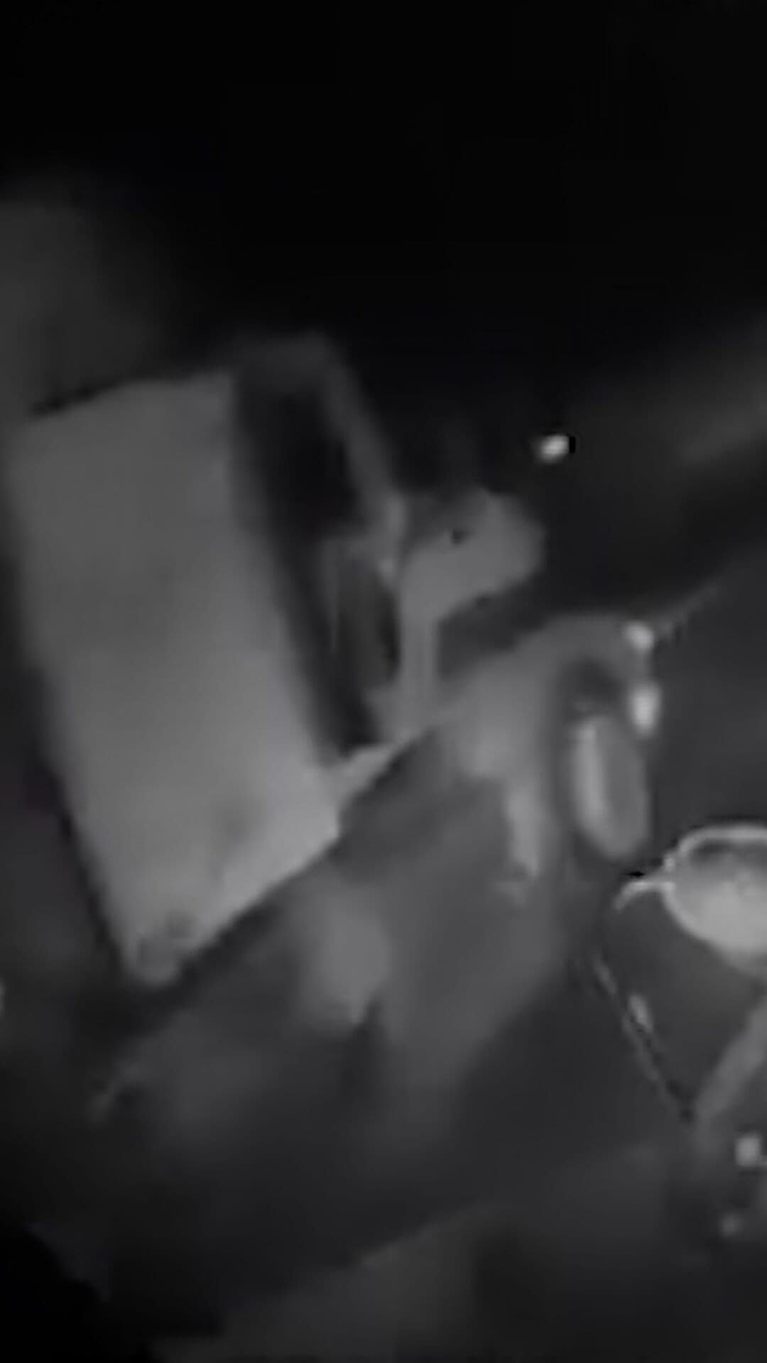 Tres Tráileres Chocan en Carretera de Tamaulipas