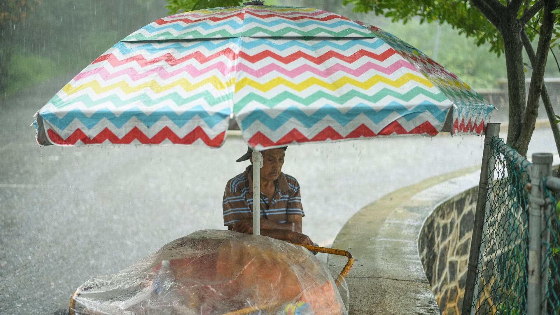 Xalapa en Estado de Emergencia por Fuertes Lluvias: Piden Extremar Precauciones