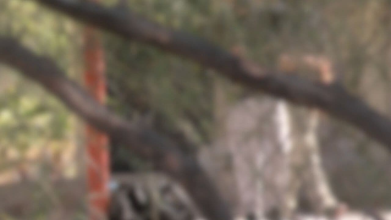 Fiscalía Investiga Agresión Contra Estudiante en Cecytes La Manga, en Hermosillo