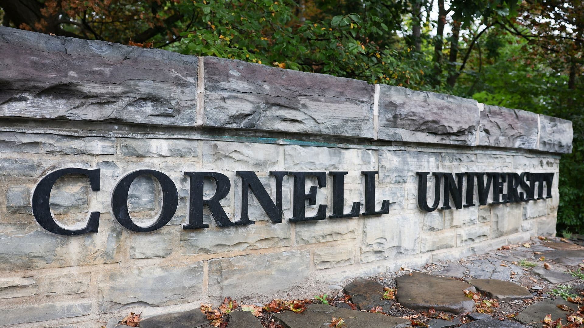 Laura L. Dunn Cuestiona Sanciones de Cornell por Caso de Presunta Agresión Sexual