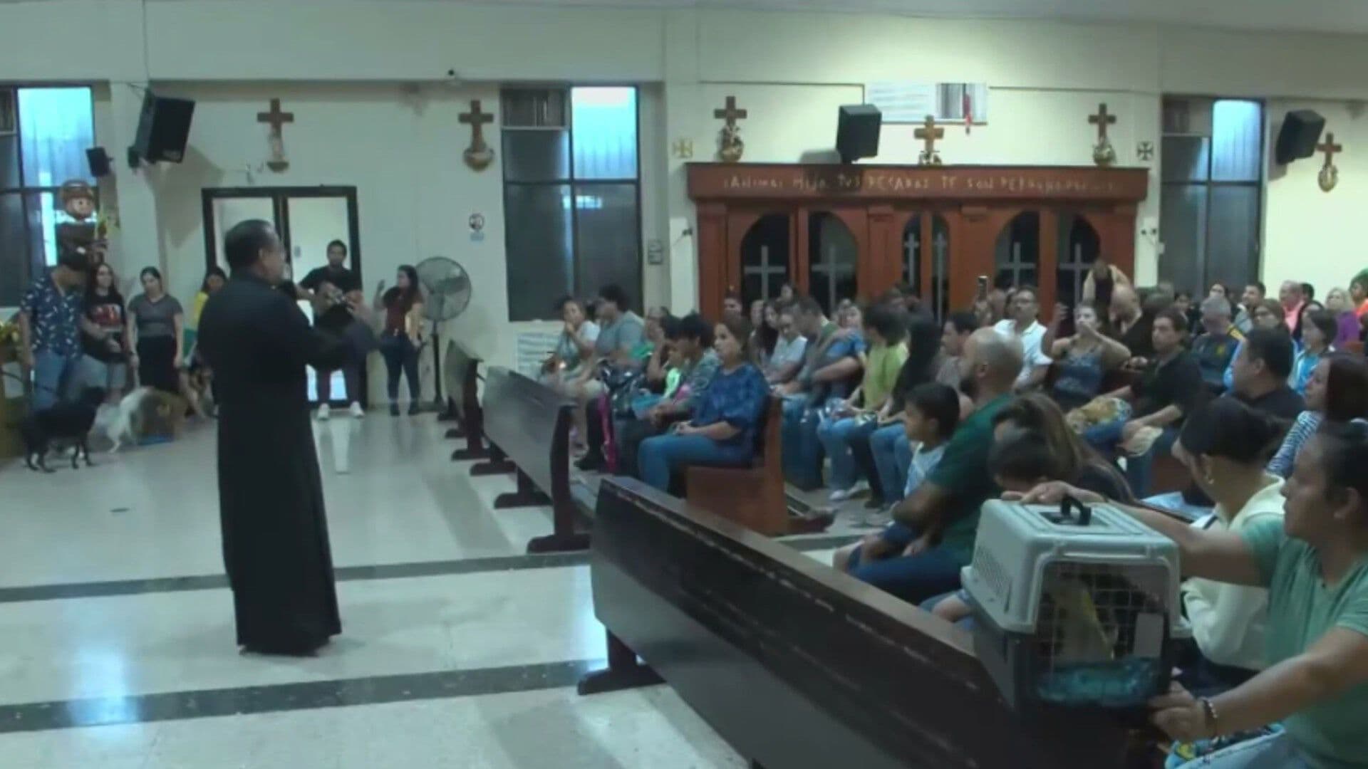 Bendicen a Mascotas en Fiesta Patronal de San Francisco de Asís en Nuevo León
