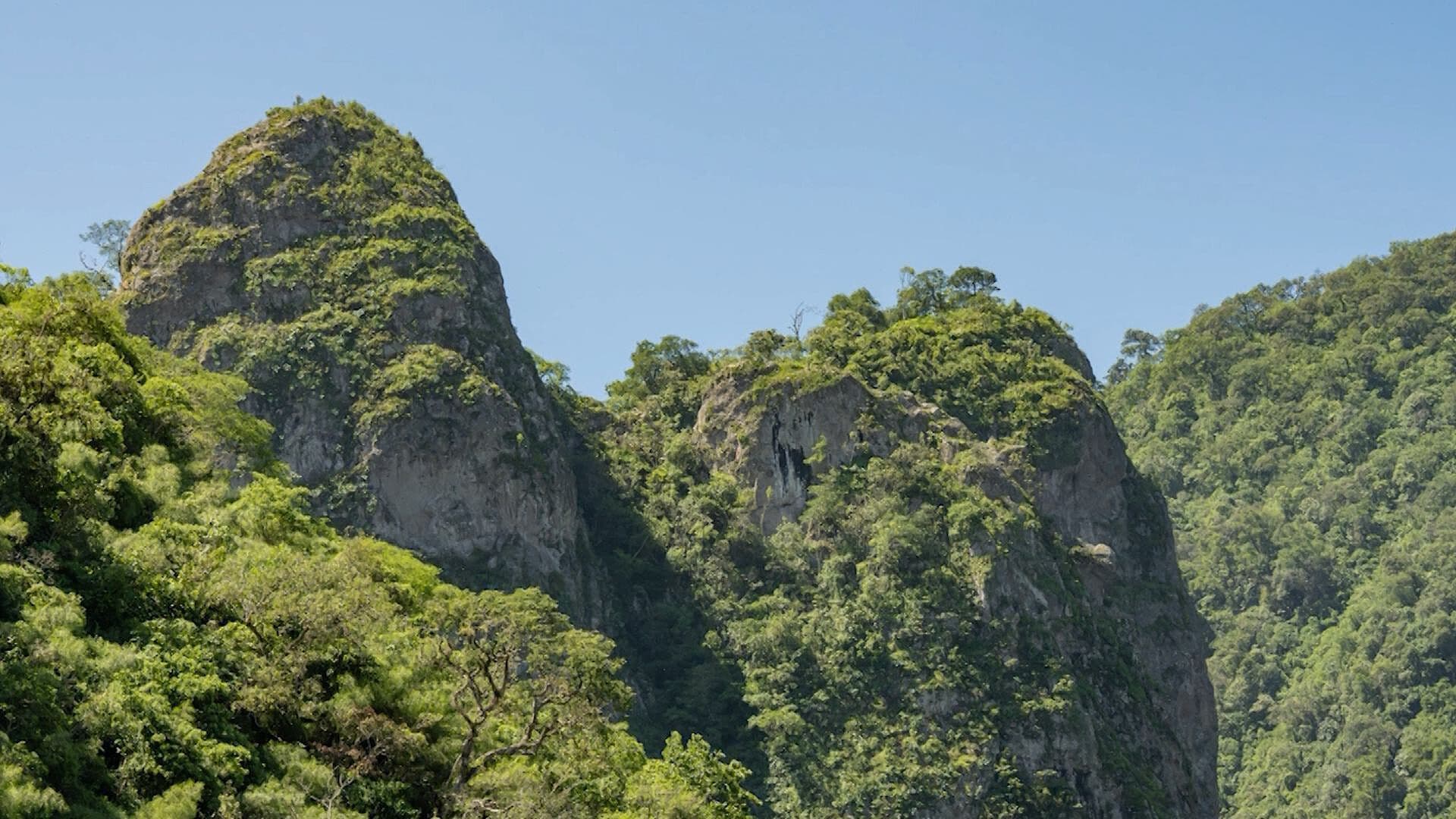 Sierra de Cacoma es declarada Área Natural Protegida en Jalisco