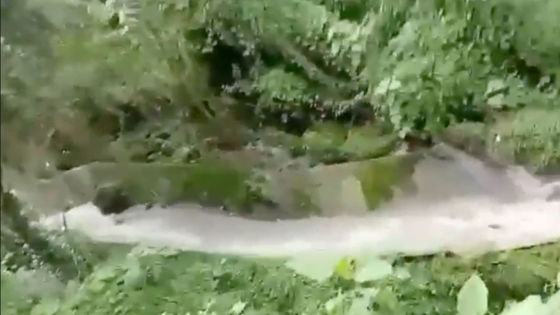 Descarga Agua Grisácea Conducto Lluvia Atempan y Teteles de Ávila Castillo Puebla