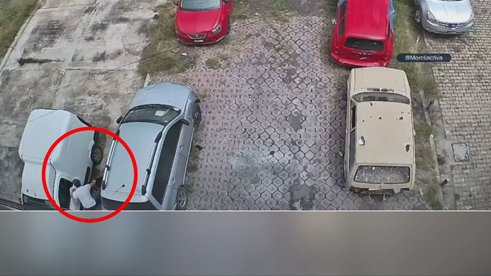 Denuncian a Hombre por Matar a un Perro a Patadas en Mercado de Morelia