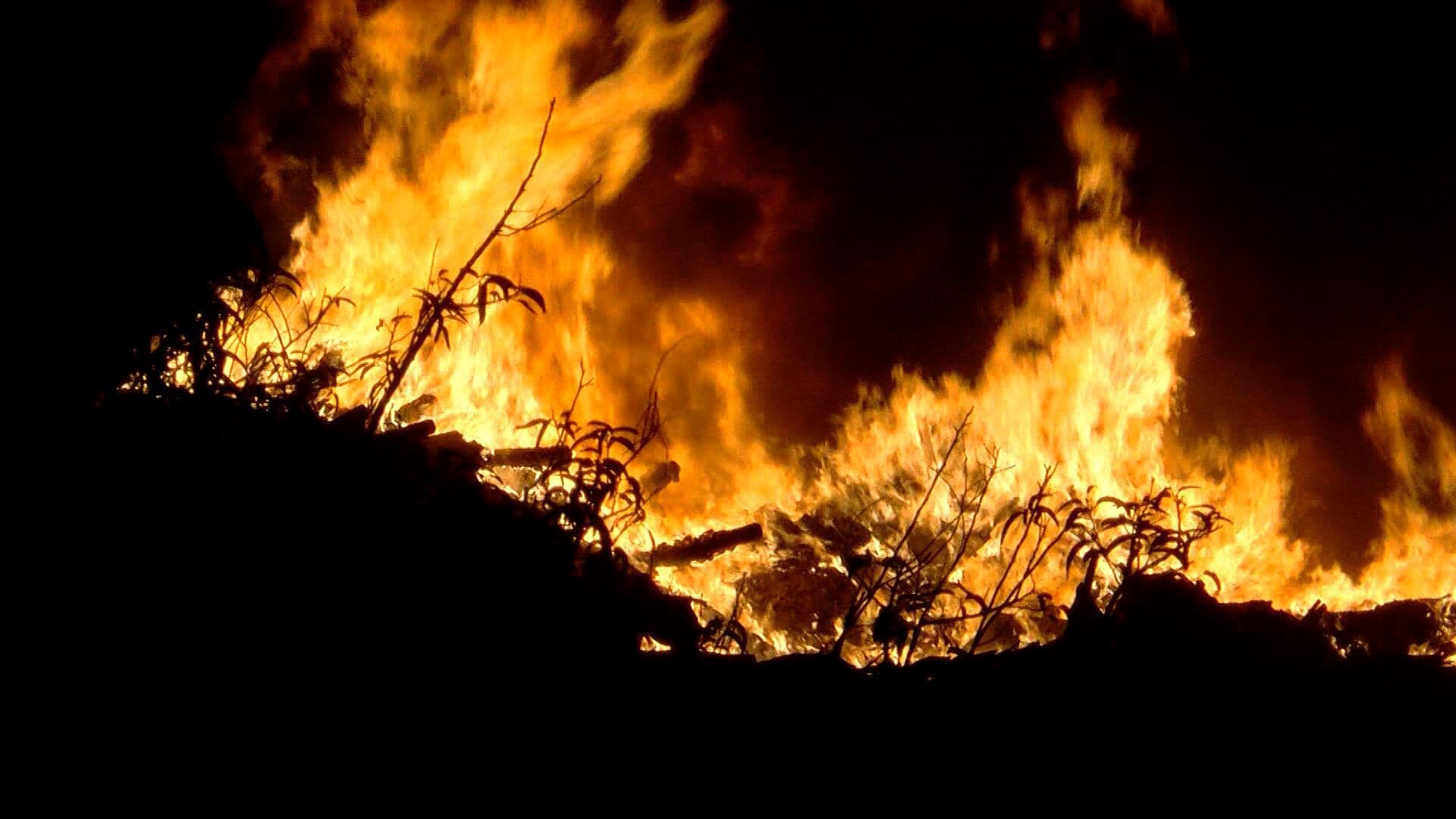 Advierten por Intoxicaciones tras Inhalación de Humo por Incendios en Tijuana, BC