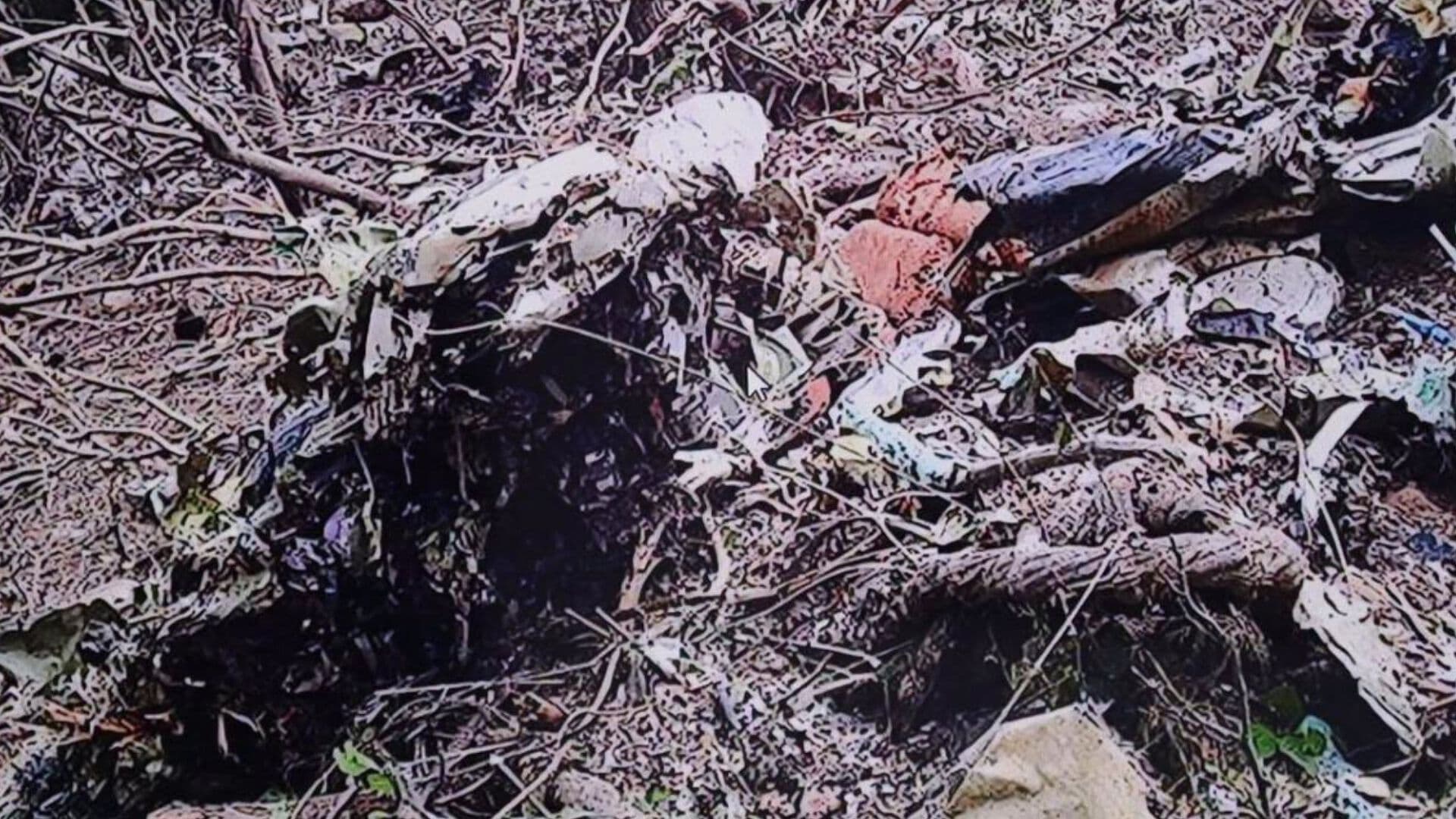 Investigan si Desplome de Avión en Nayarit Fue un Atentado contra el Gobernador