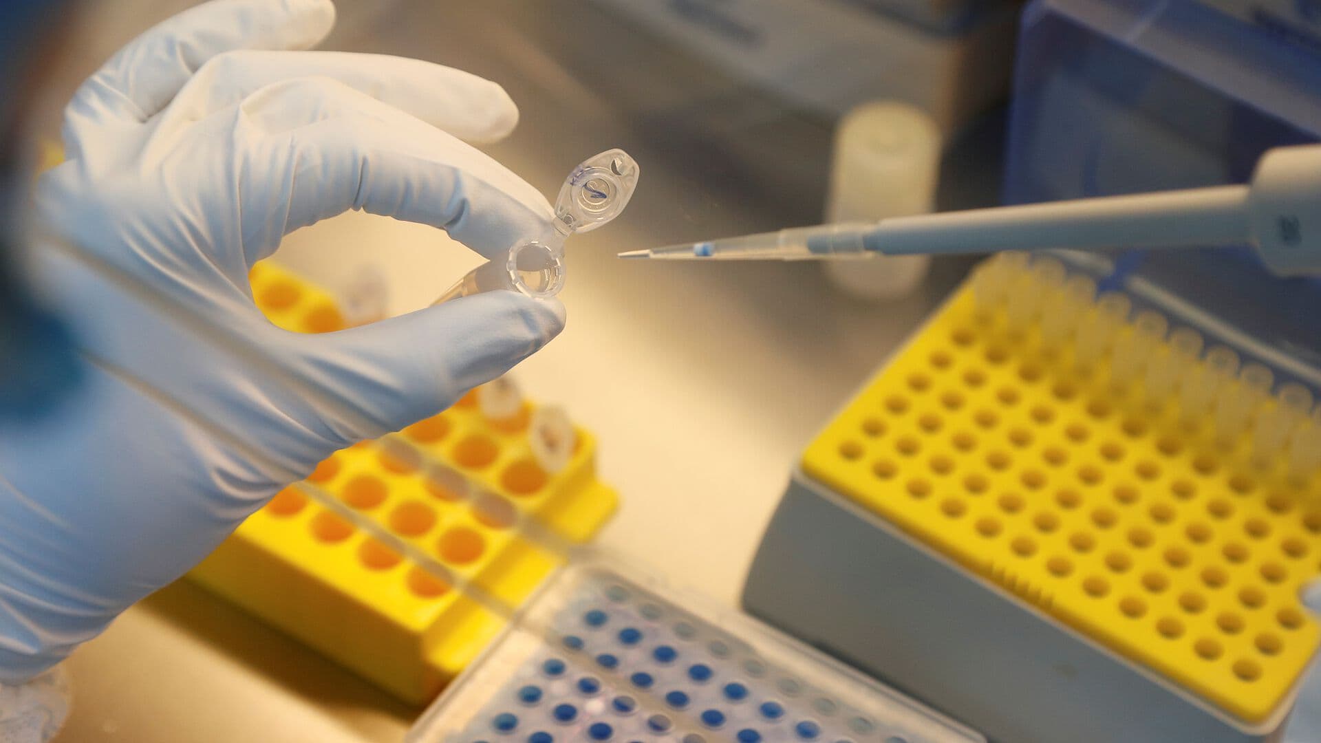 Biotecnología y Bioseguridad: El Dilema del "Uso Dual"