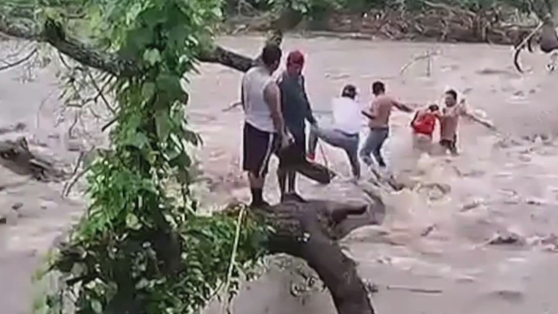 Video | Pobladores Suben a Árbol para No ser Arrastrados por la Corriente en Hidalgo