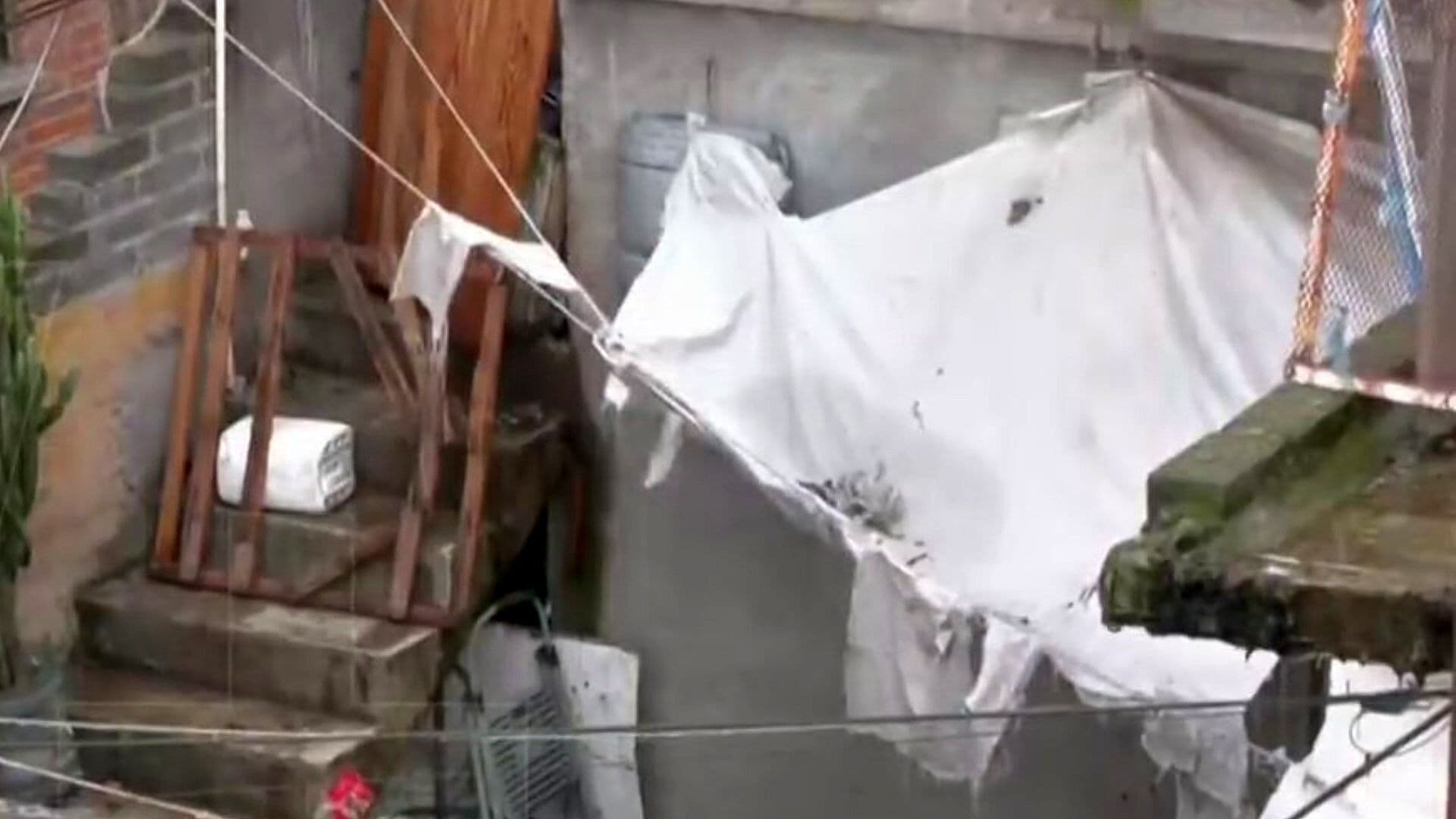 Activistas Esperan Cateo para Rescatar Perros por Reporte de Maltrato Animal en Tlalpan, CDMX