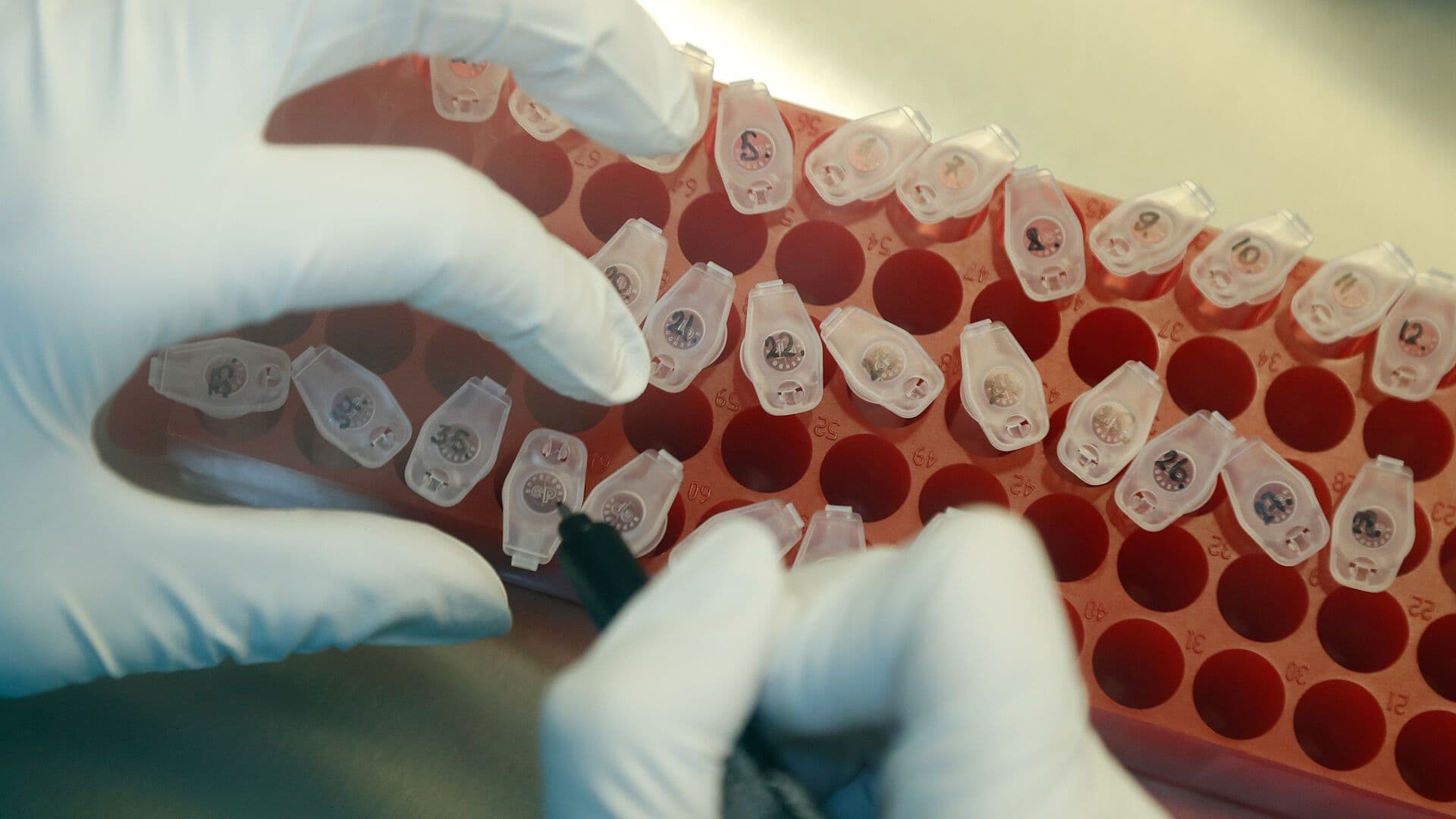 El Uso de la Tecnología en la Biología y Medicina