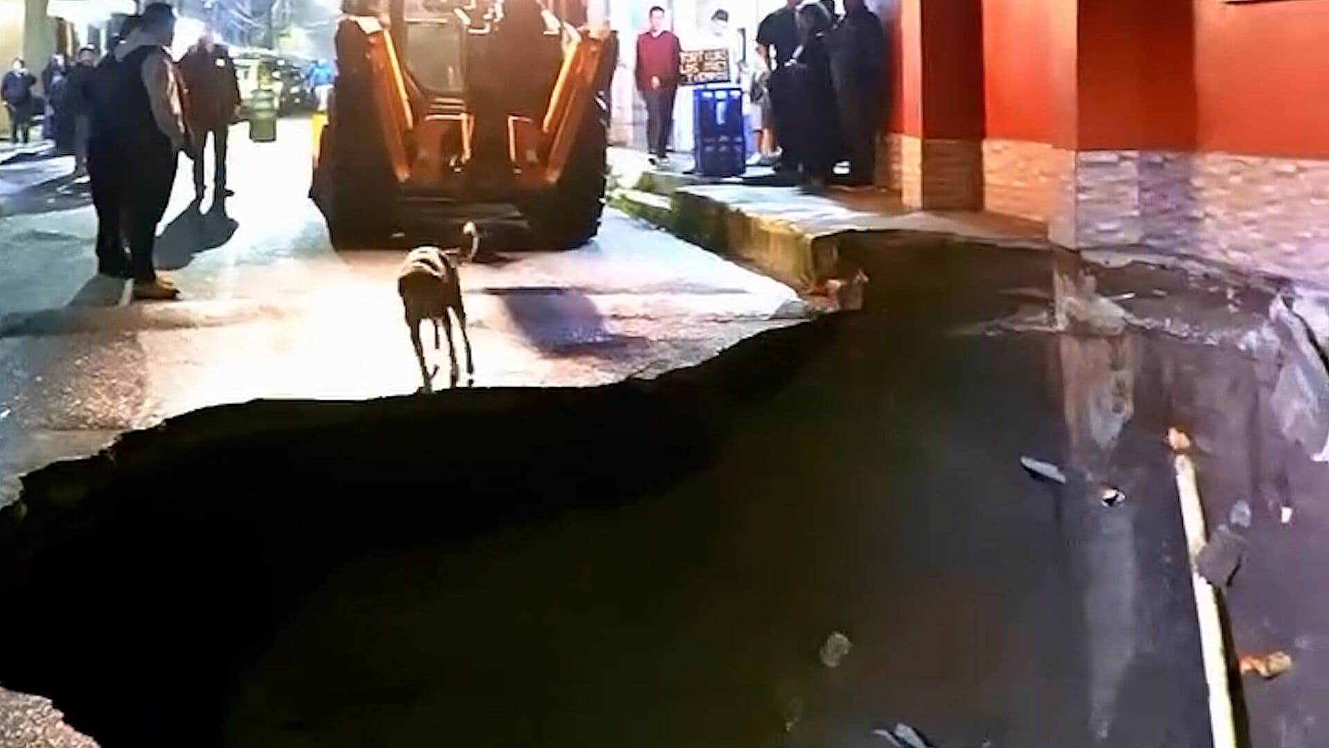 Captan Caída de un Perro en un Socavón Gigante en Guatemala