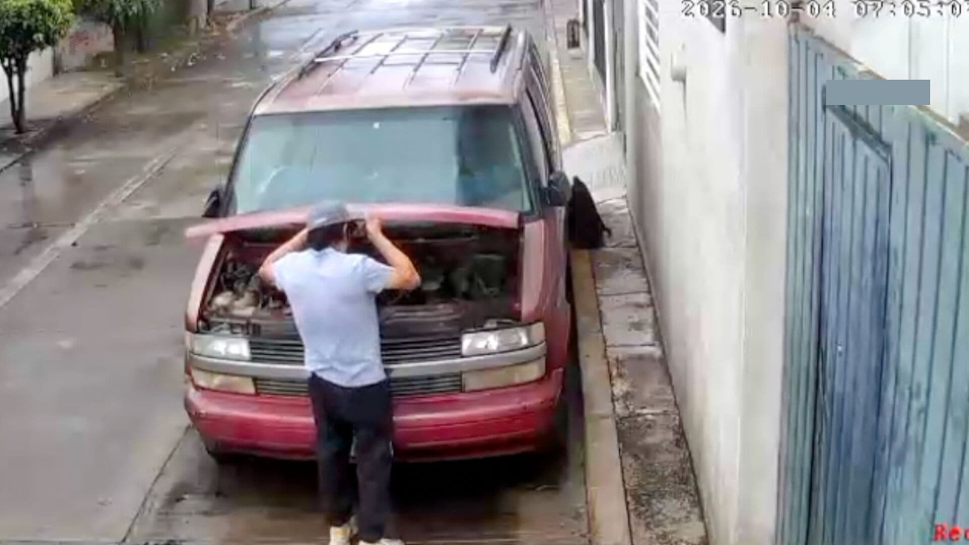Robo Autopartes Delincuencia Colonia Arboledas Loma Bella Puebla