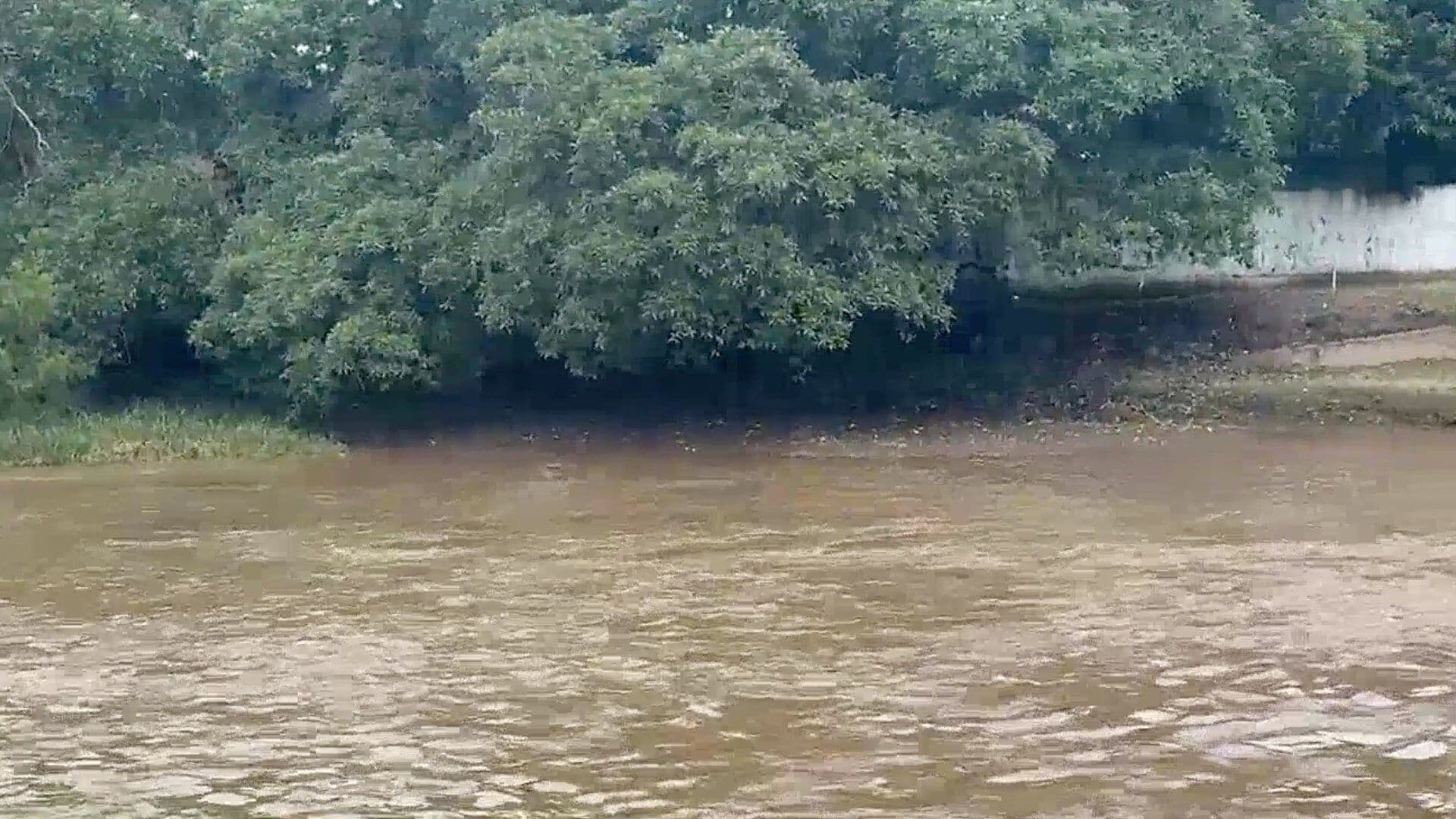 Bajará Suministro de Agua por Mantenimiento en Planta El Tejar II en Veracruz