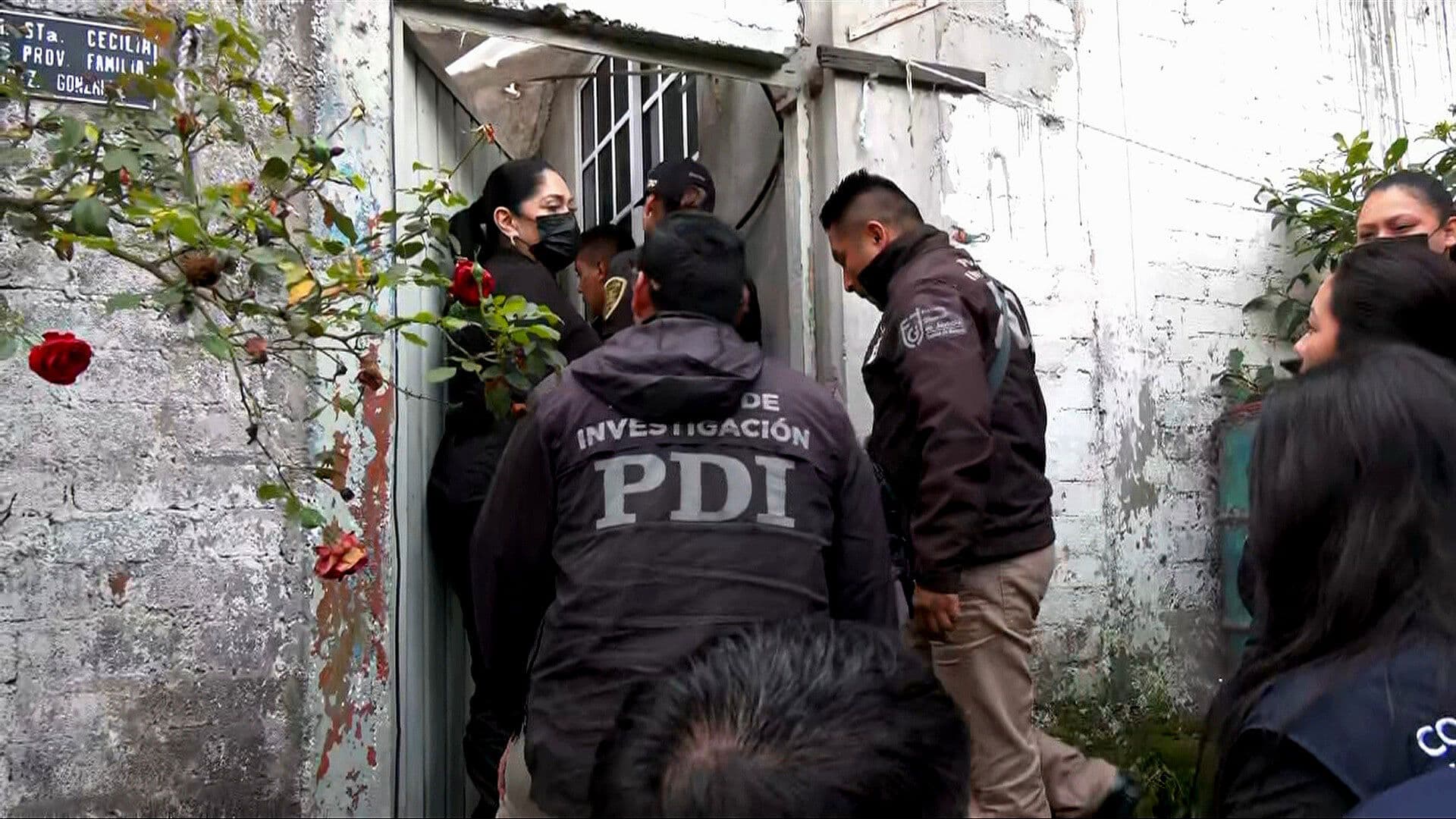 Autoridades Ingresan a Predio con Denuncia de Maltrato Animal, Tlalpan