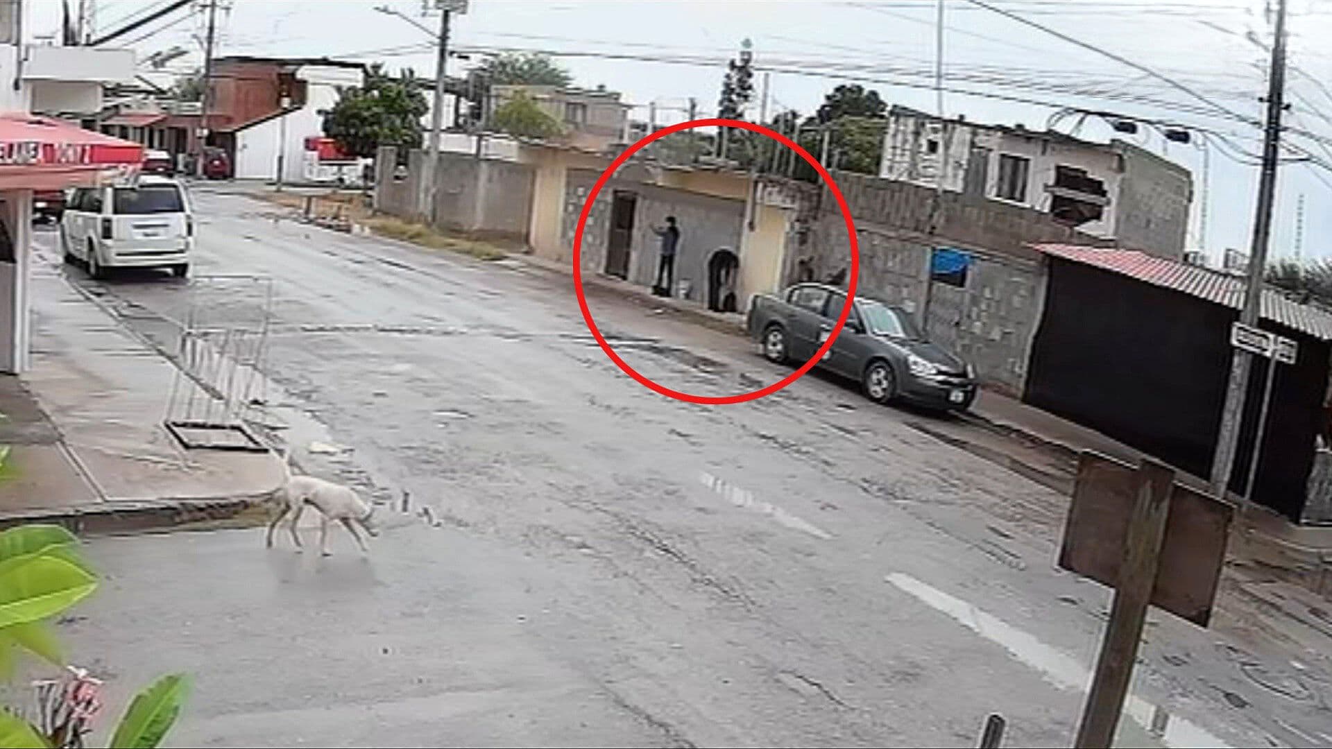 Revelan Videos de ‘Los Cuates’ Antes del Ataque en Secundaria de Torreón