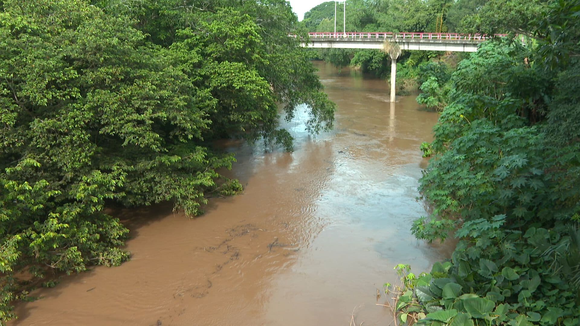 Habitantes de Jamapa se Mantienen en Alerta por el Nivel del Río tras Lluvias Veracruz