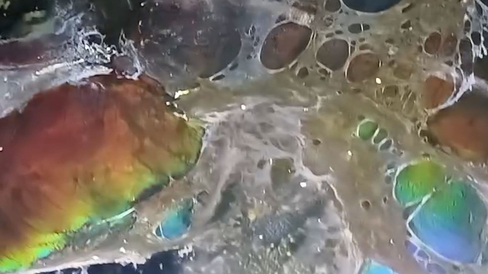 Vecino Muestra Mala Calidad del Agua Potable de Guadalajara Abriendo su Tinaco