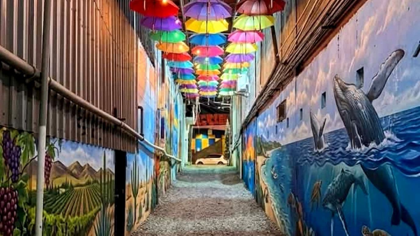 Murales Buscan Recuperar Espacio Asociado con Delitos en Zona Turística de Ensenada