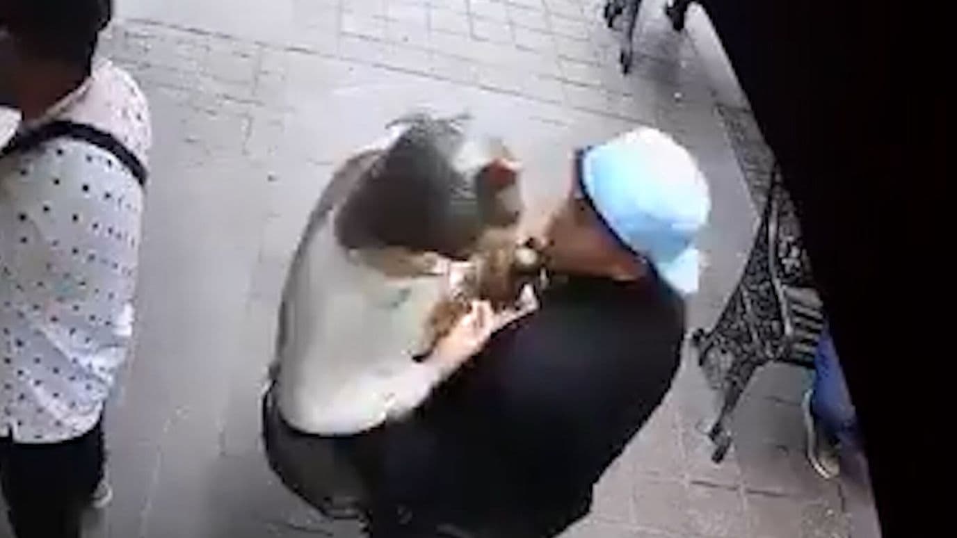 Sujetos Roban Figura de San Judas Tadeo