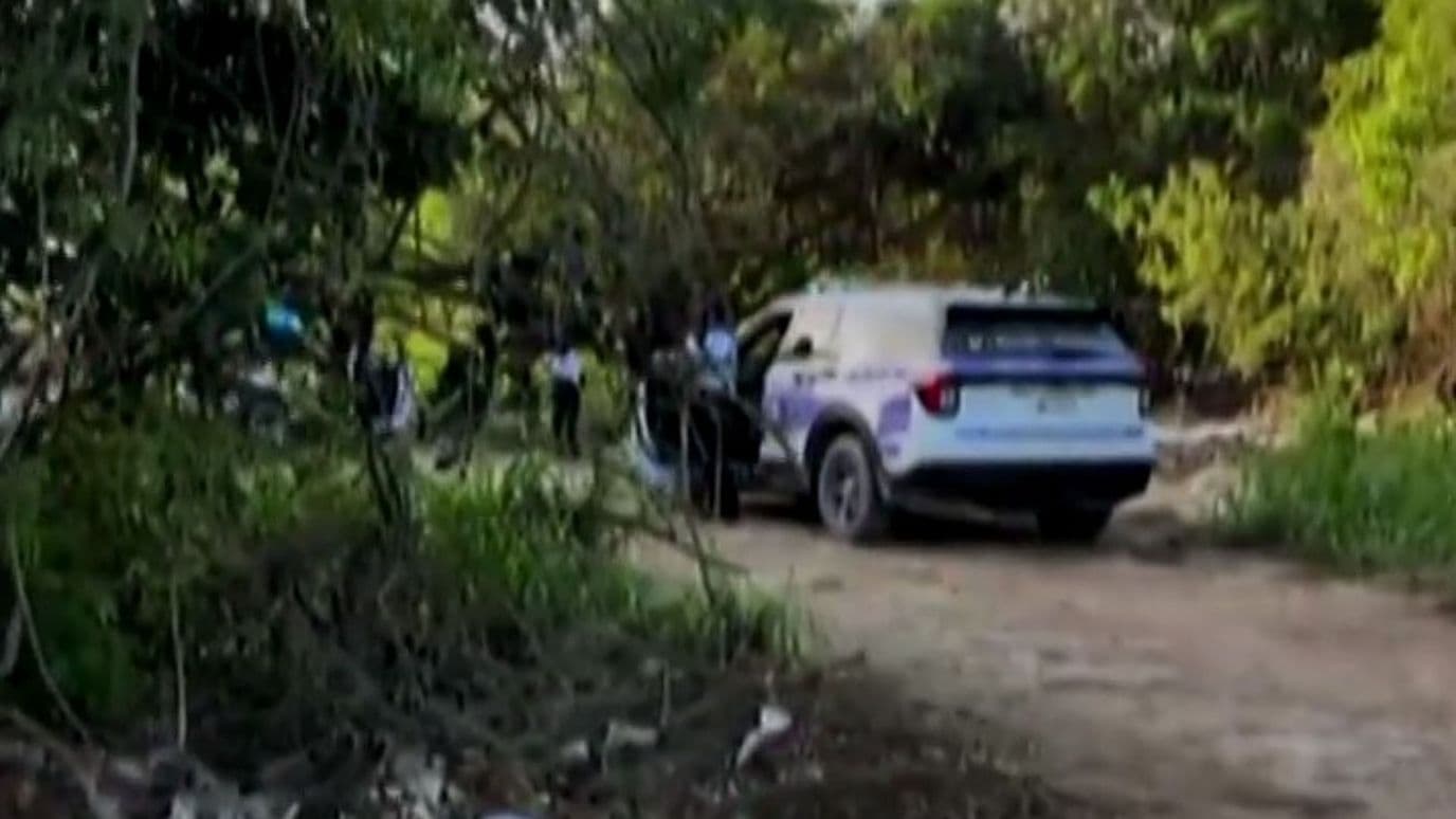 Hallan Cuerpo de Mujer en Camino de Terracería de Cancún; Investigan su Identidad