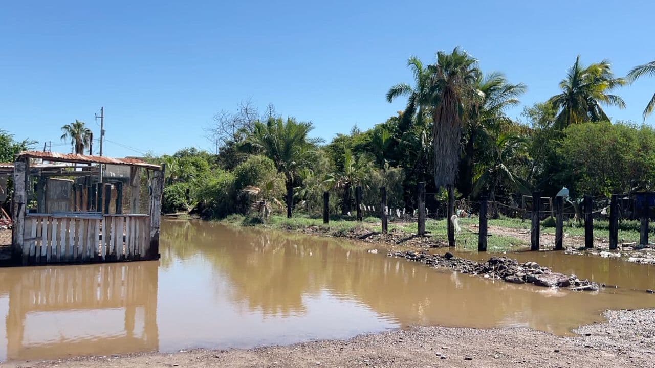 Evalúan Afectaciones Productivas Tras Paso del Huracán Polo por Sonora