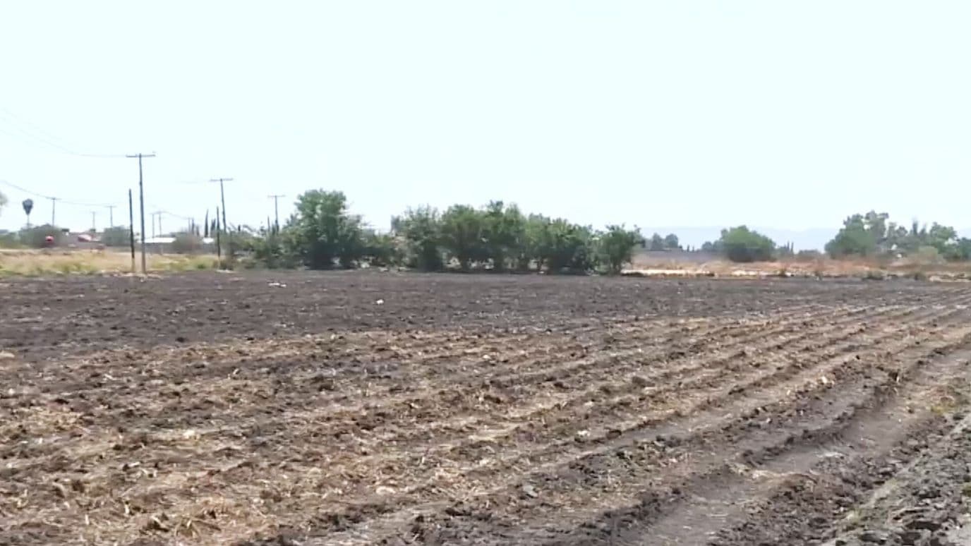 En Guanajuato Hay Menos Personas que se Dedican a Trabajar en el Campo