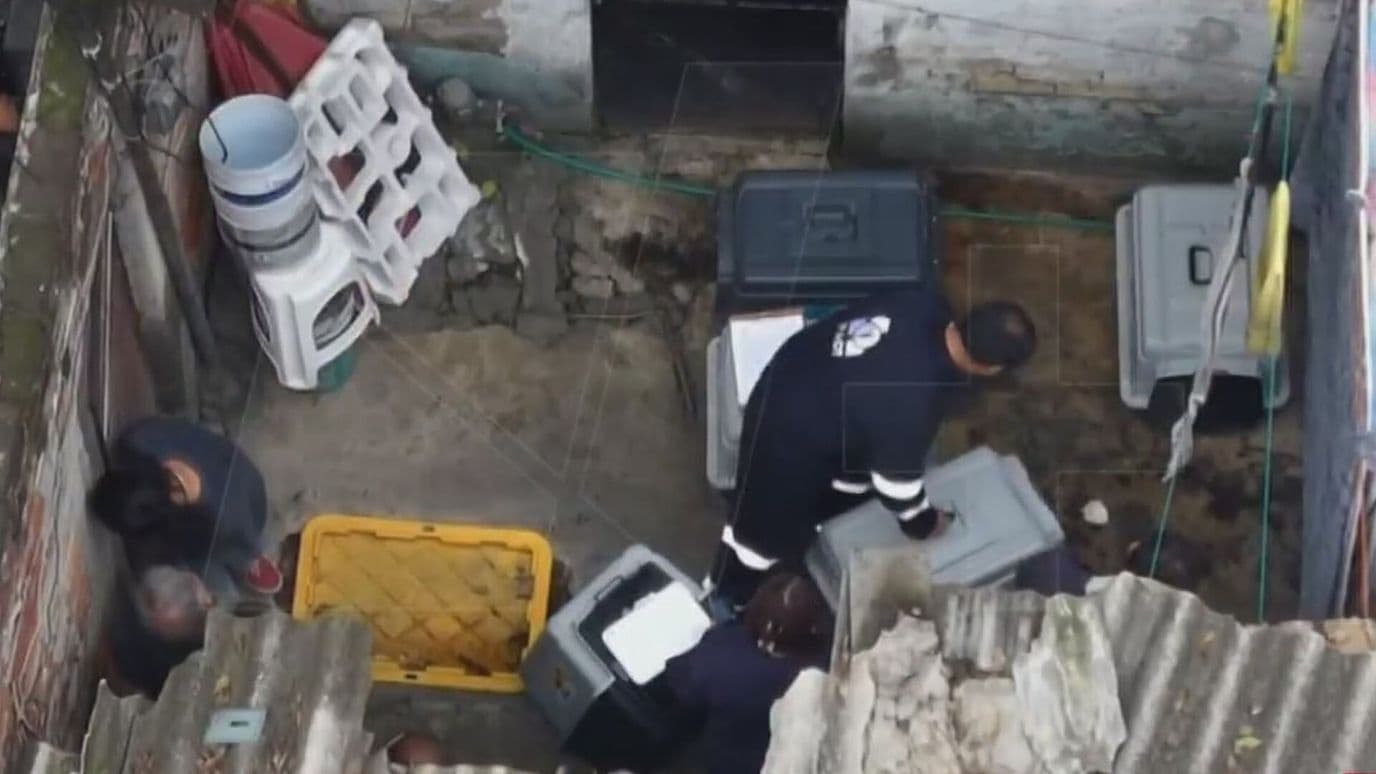 Cronología | Rescatan a 30 Animales Hacinados en Iztapalapa