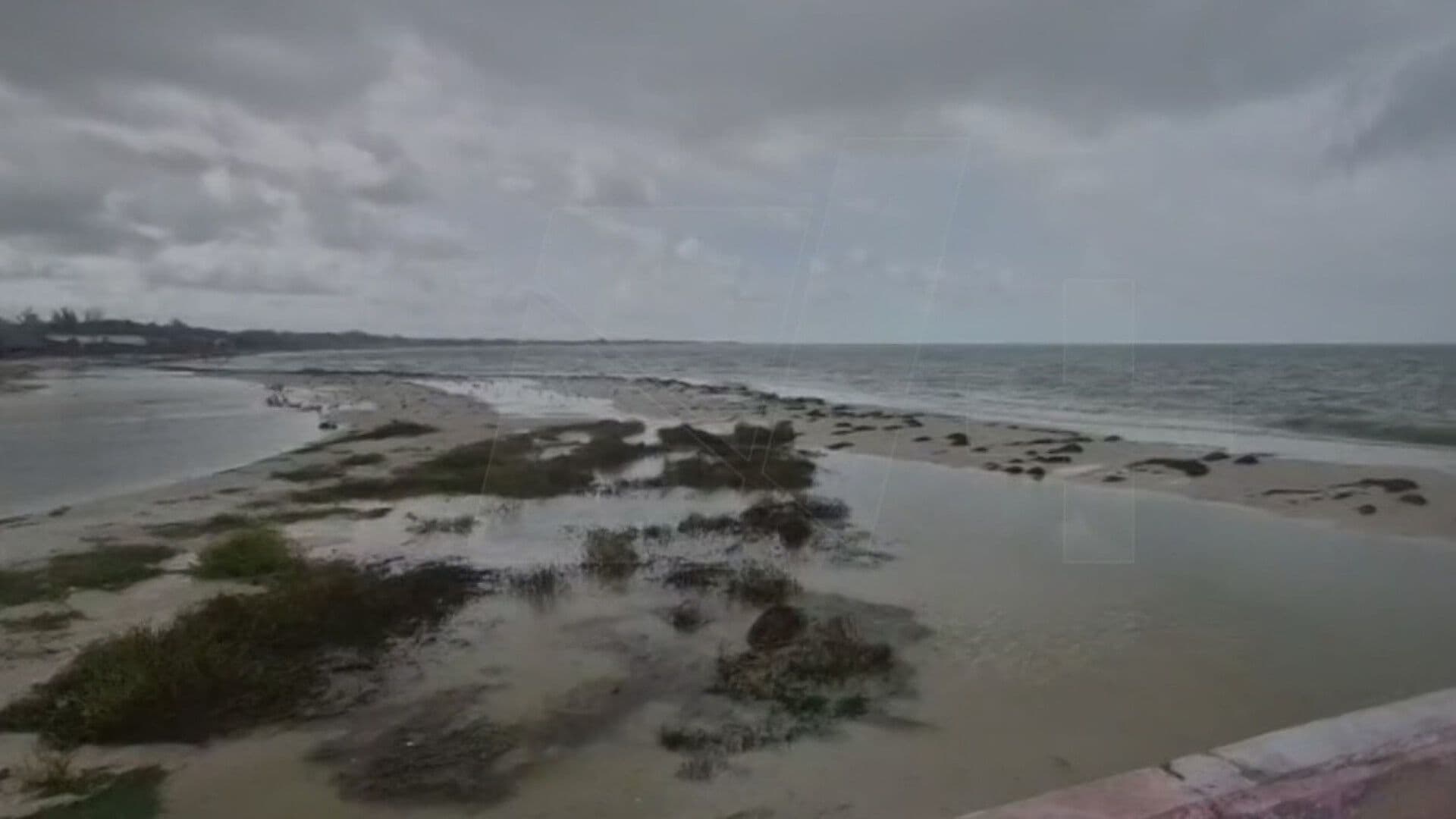 Tormenta Tropical Isaías Provoca Lluvias y Fuertes Marejadas en Yucatán; Suspenden Clases