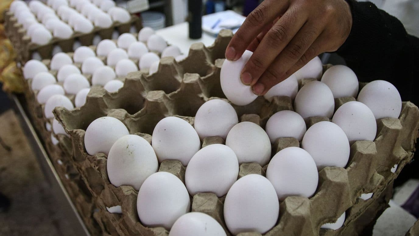 Día Mundial del Huevo: Esto Aporta en tu Alimentación