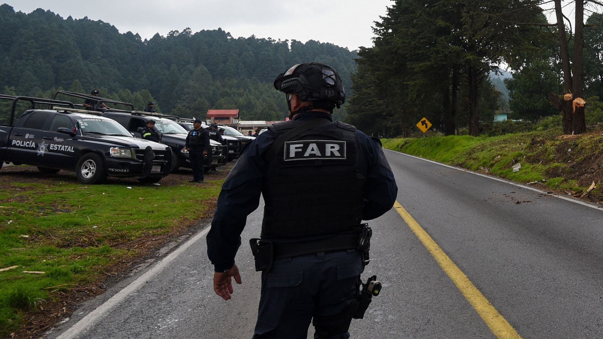 Gabinete de Seguridad Da Resultados de Operación Enjambre en el Edomex