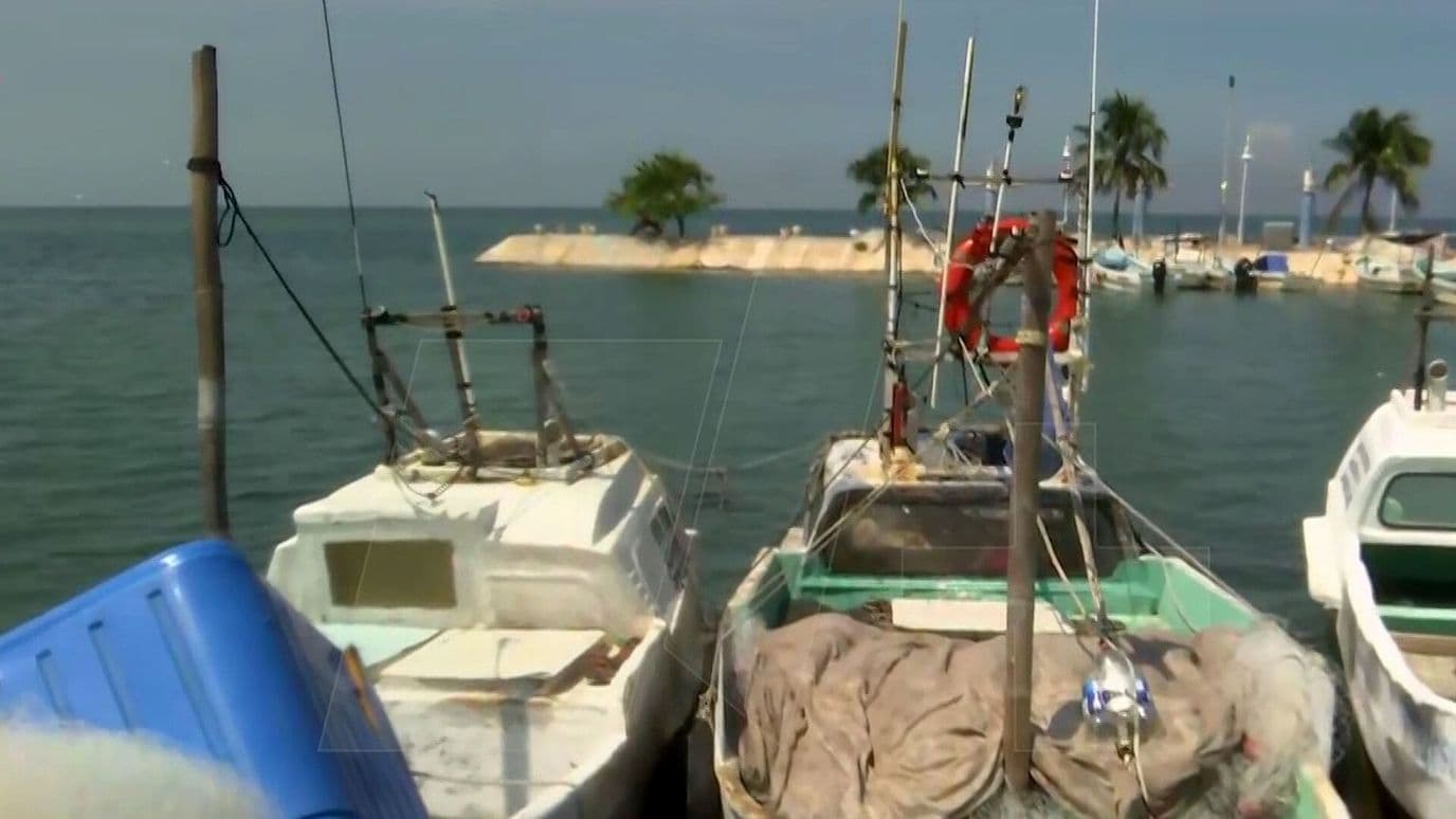 Remanentes de Isaías Afectan la Actividad Pesquera en Campeche