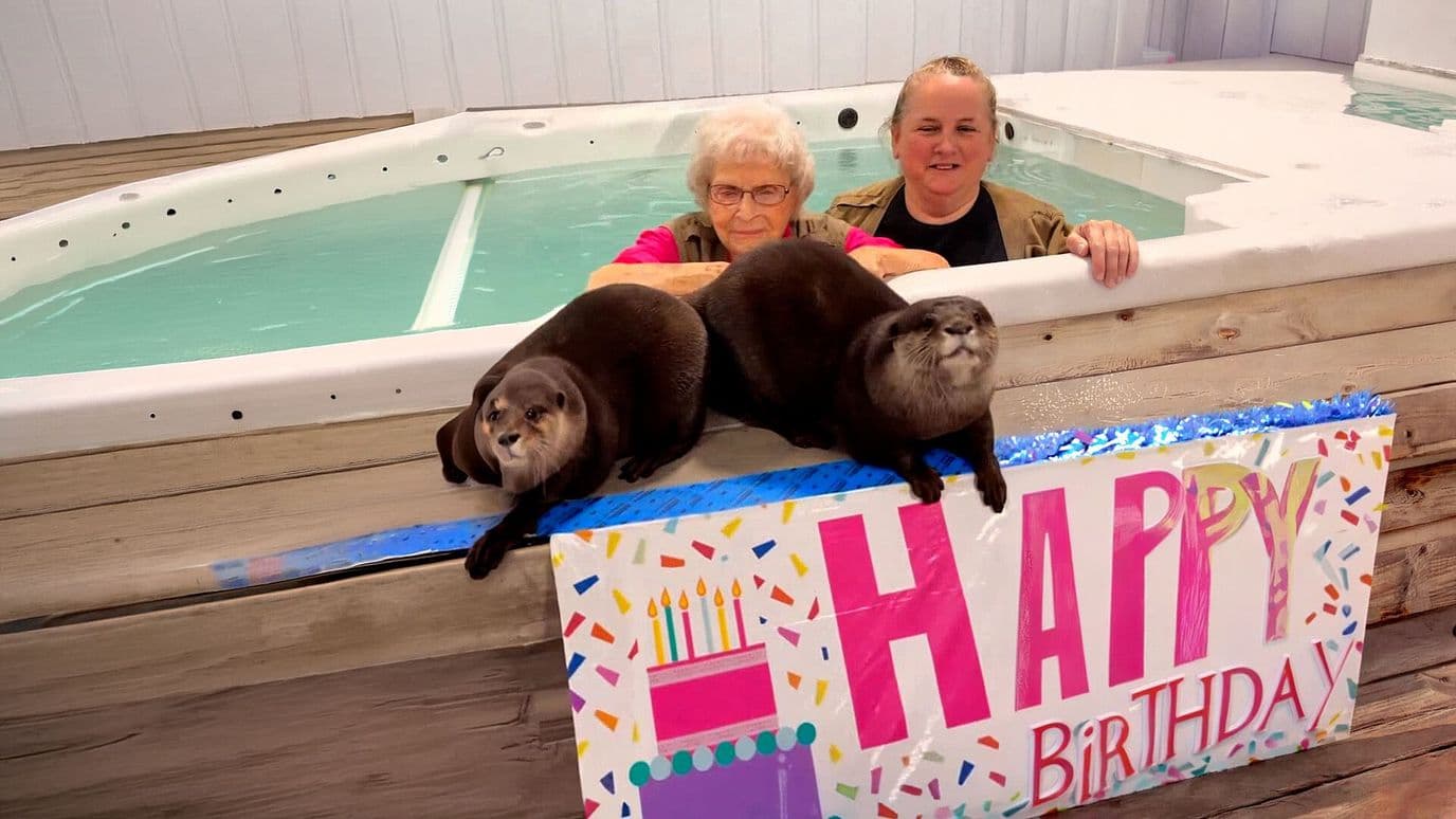 Festeja sus 100 Años Nadando con unas Nutrias