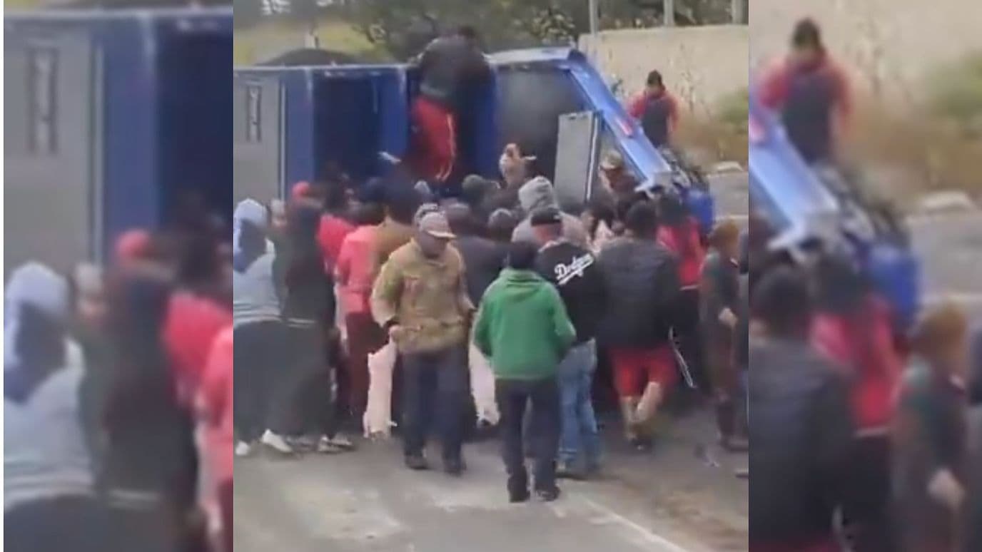 Rapiña Lechones Cerdos Volcadura Tráiler Autopista Puebla Orizaba
