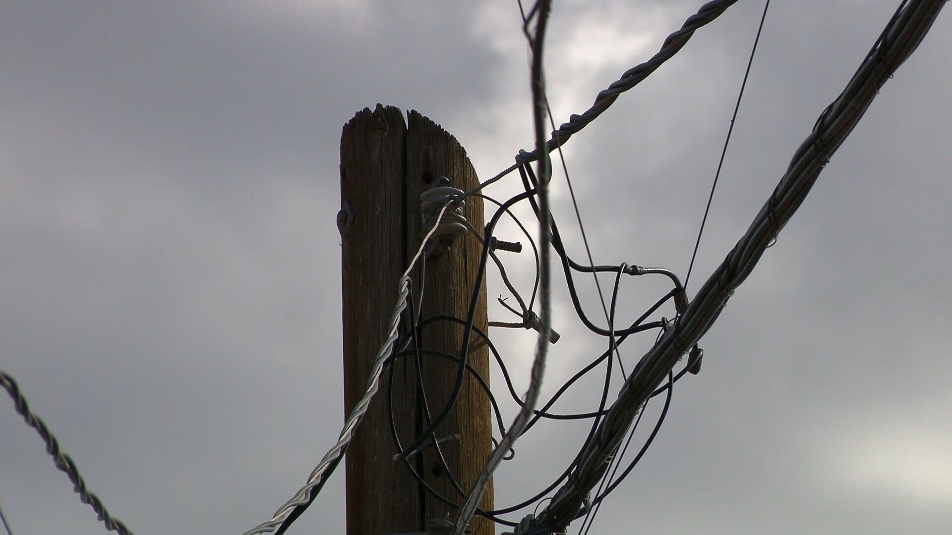 Conexiones Irregulares de Luz Ponen en Riesgo a Familias de Granjas Virreyes, Mexicali