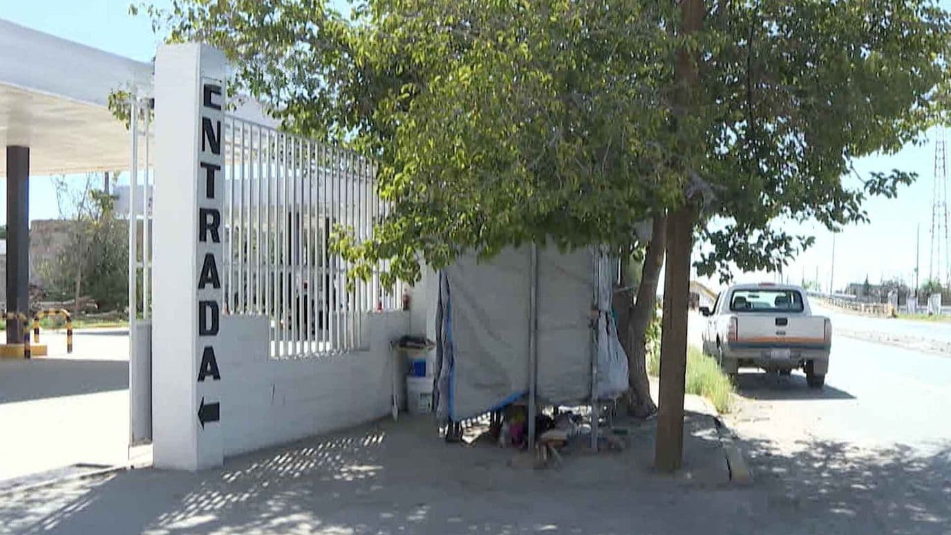 Pareja de Adultos Mayores se Refugia Bajo un Árbol en Ciudad Juárez