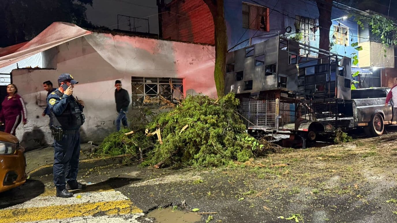 Colapso de Rama de Enorme Árbol provoca Severos Daños en Azcapotzalco, CDMX