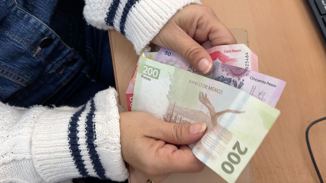 Educación Financiera Puede Evitar Fraudes a Veracruzanos Experta Explica