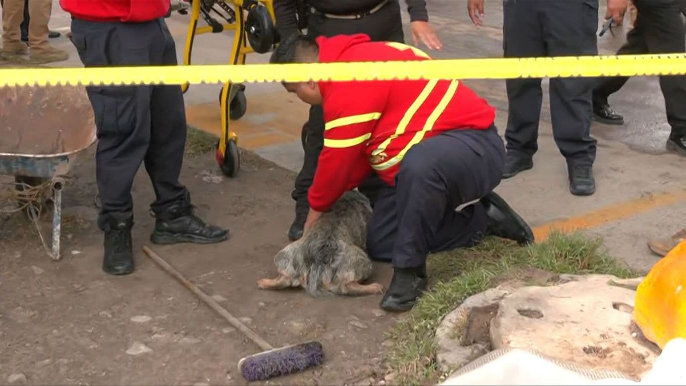 Explosión en Coacalco Hoy: Onda Expansiva Destruye Puesto de Dulces y Lesiona a un Perro