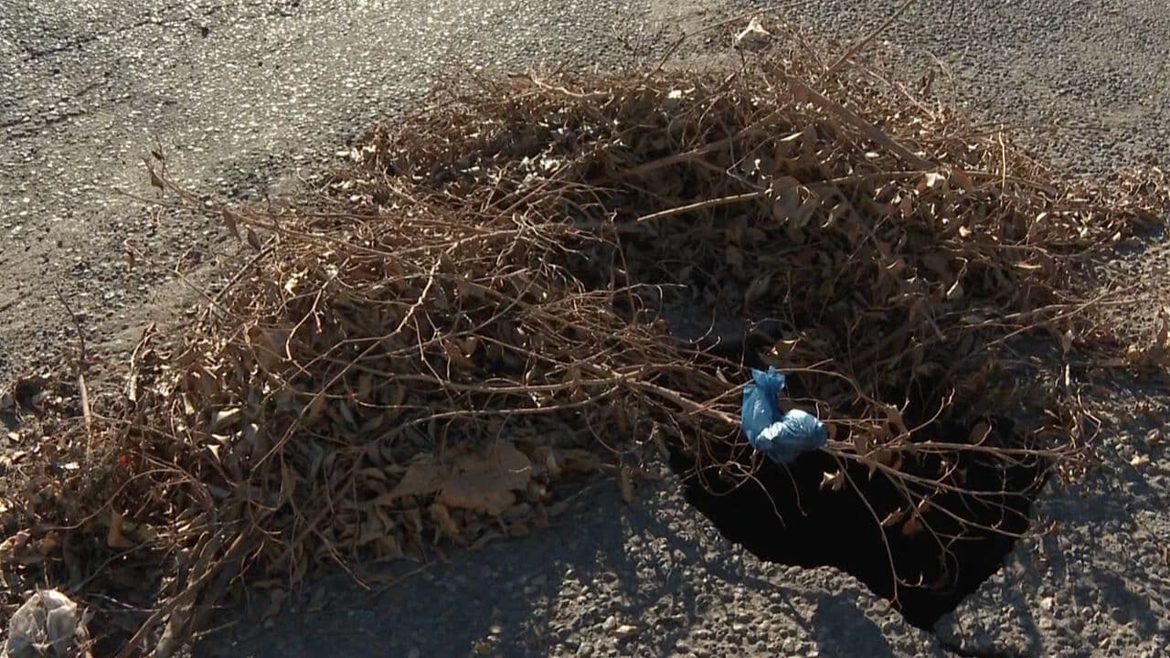 Socavón en la Colonia Bugambilias de Hermosillo Continúa Creciendo