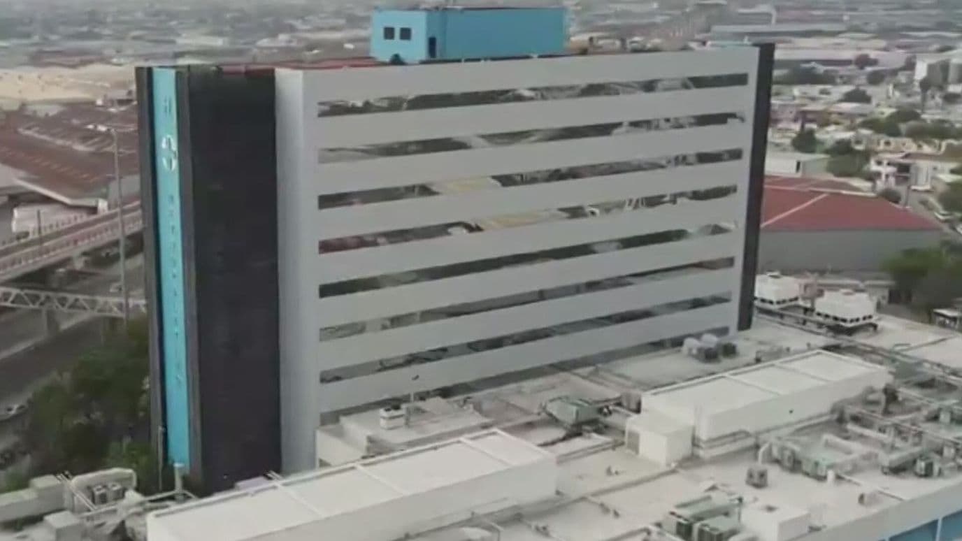 Cae de Árbol Presunto Ladrón, Muere en Hospital en San Nicolás