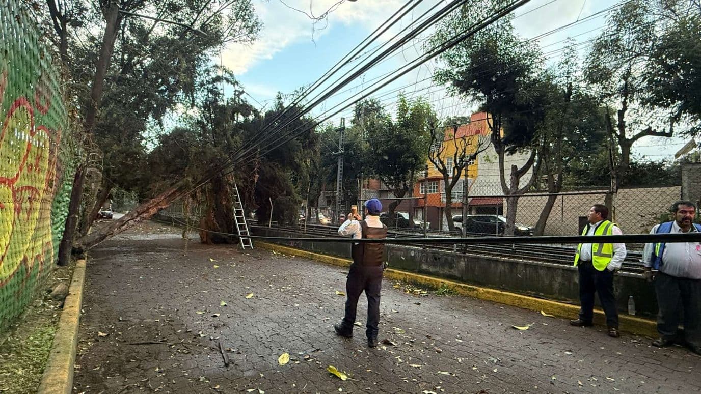 Caída de Árbol Suspende el Servicio del Tren Ligero en Xochimilco