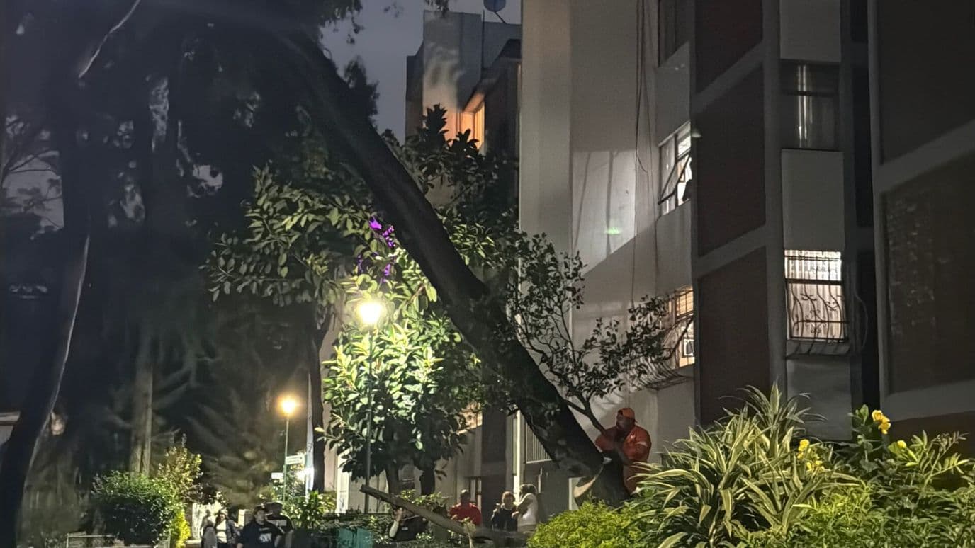 Cae Árbol de 15 Metros y Queda Recargado en Edificio en Villa Coapa en CDMX