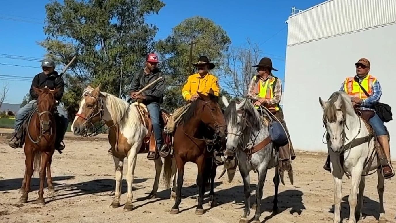 Más de 25 Jinetes se Unen a Búsqueda de Desaparecidos en Maneadero, Ensenada