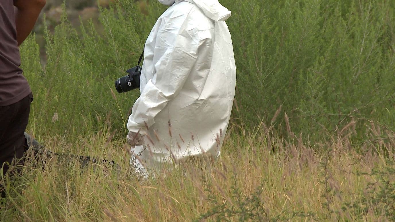 Investigan Hallazgo de Osamenta en Terreno Baldío en Saltillo, Coahuila