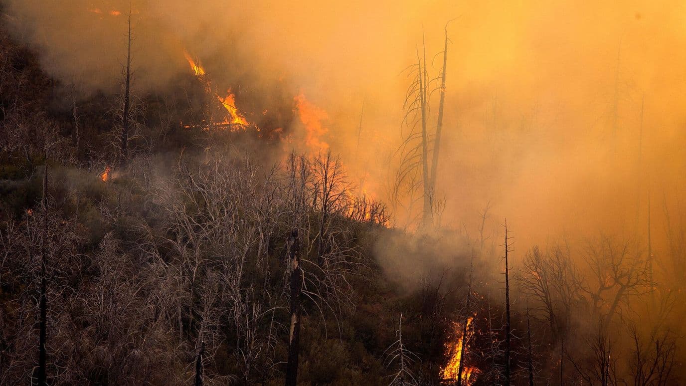 Incendios Forestales en California Movilizan Cuerpos de Emergencia, EUA