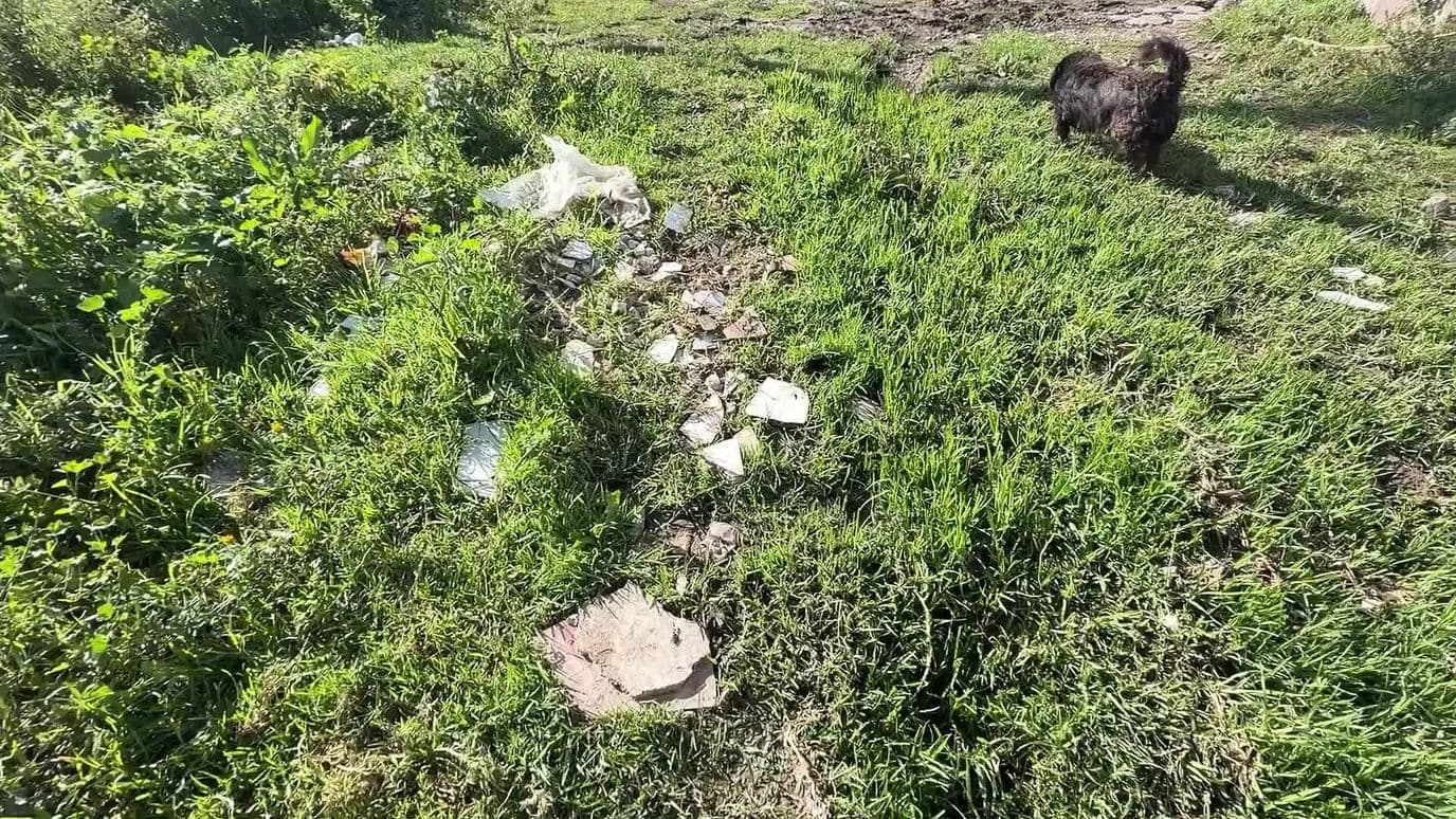 Continúa la Búsqueda de Adulto Mayor Desaparecido en Corregidora, Querétaro