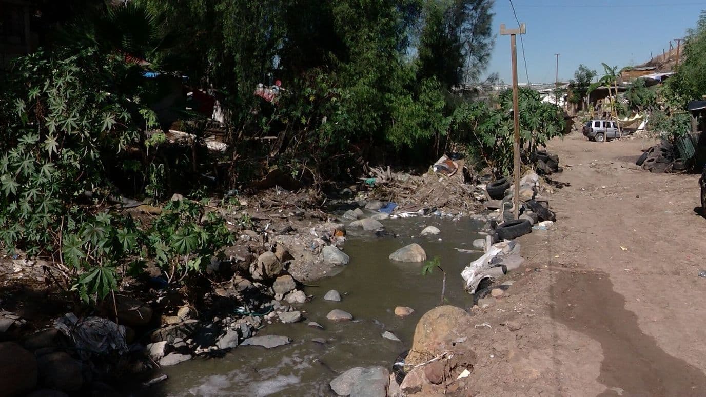 Vecinos del Ejido Matamoros Denuncian Arroyo de Aguas Negras en Tijuana, BC