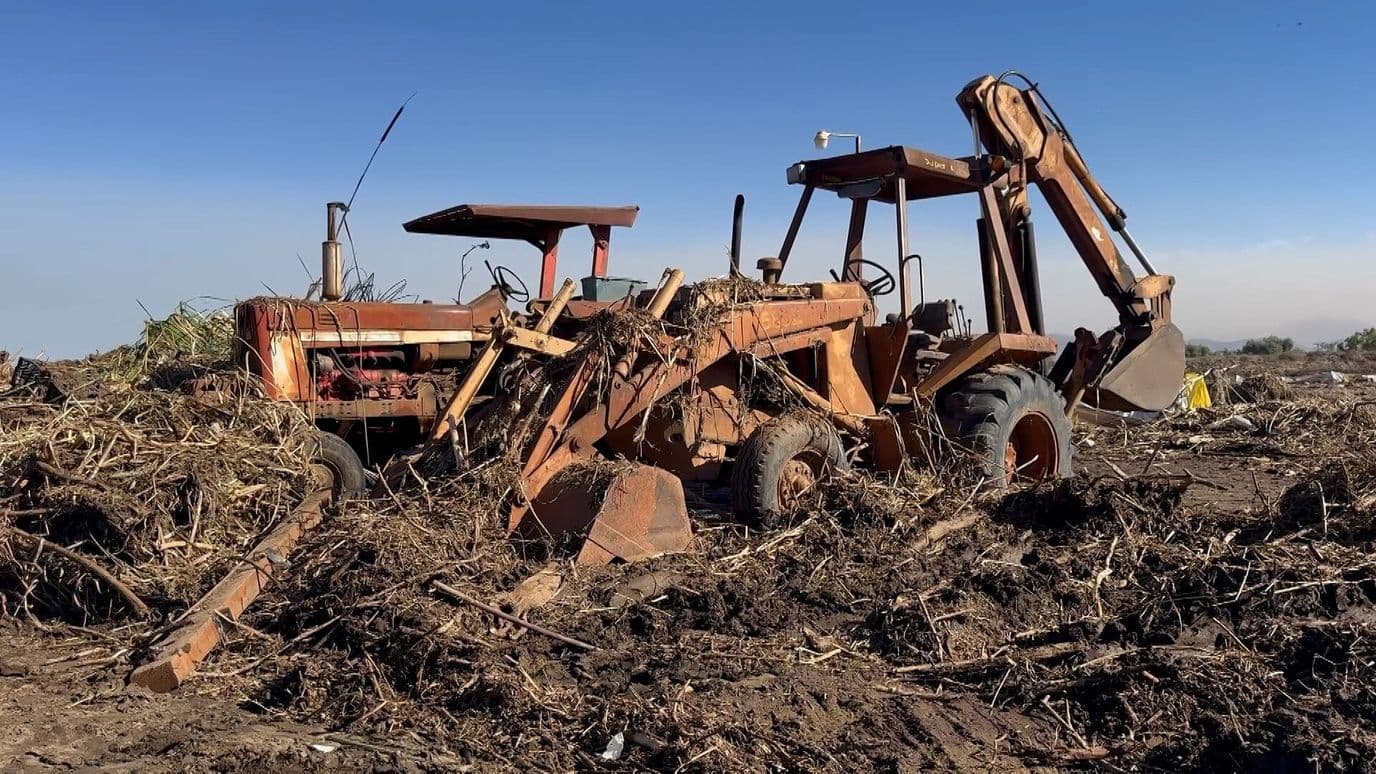 ‘Rachel’ Deja Pérdidas Económicas en el Sector Agropecuario de Maneadero en Ensenada