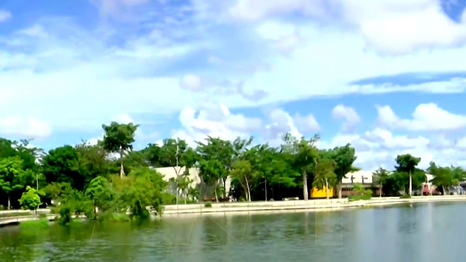 Detectan Ameba en Seis Lagos Artificiales de Mérida, Yucatán