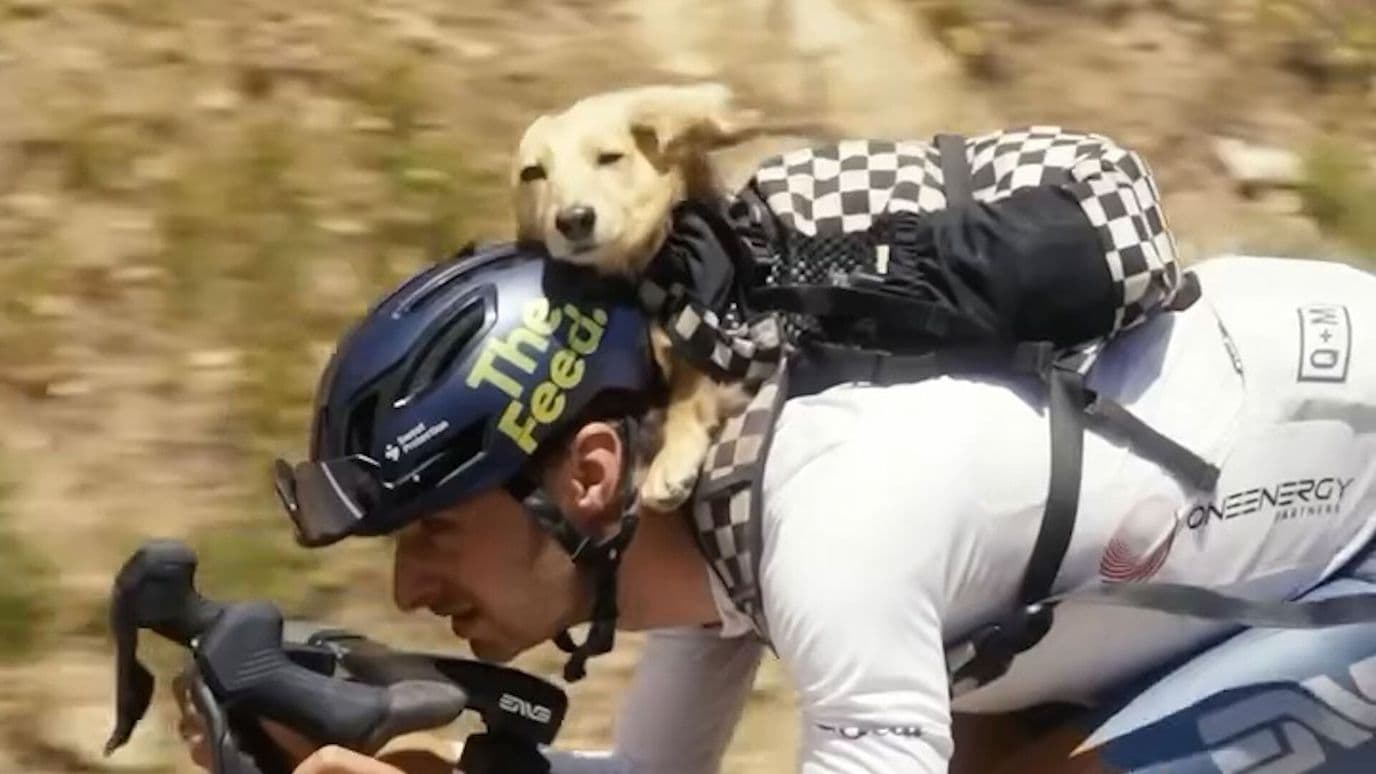 Ciclista Entrena Junto a su Perro Salchicha en la Espalda